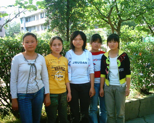 2006  (74)